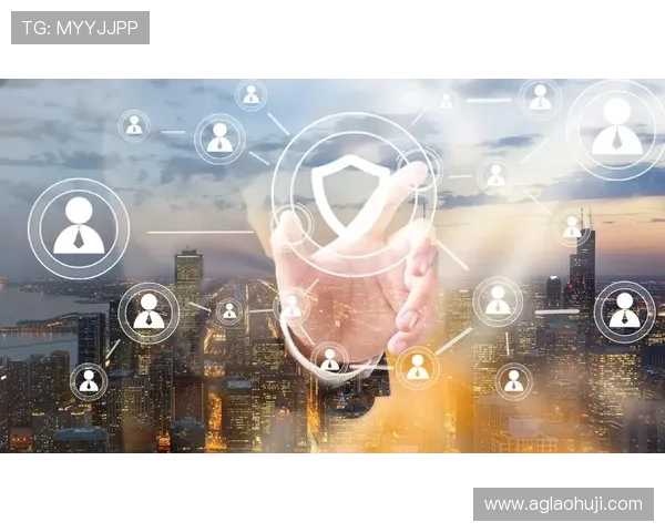 电子PG在跨境支付中的关键作用及其面临的挑战与解决方案